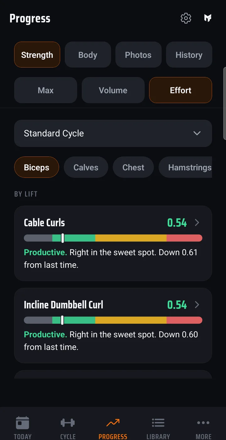 The Effort tab: each lift has a meter from low to overreaching. Cable Curls and Incline Dumbbell Curl both read 0.54, productive and in the sweet spot.